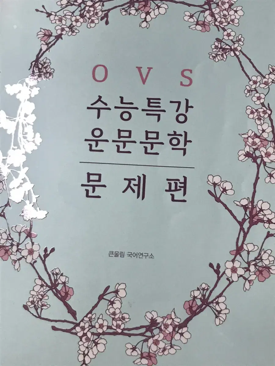 ovs 운문문학 문제편